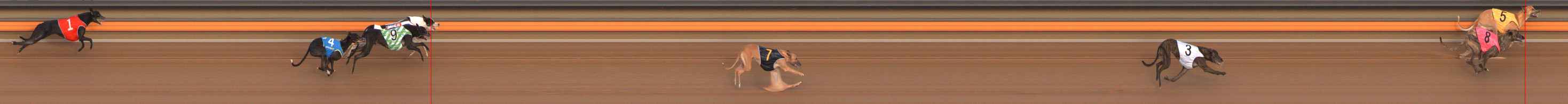 Race result finish photo